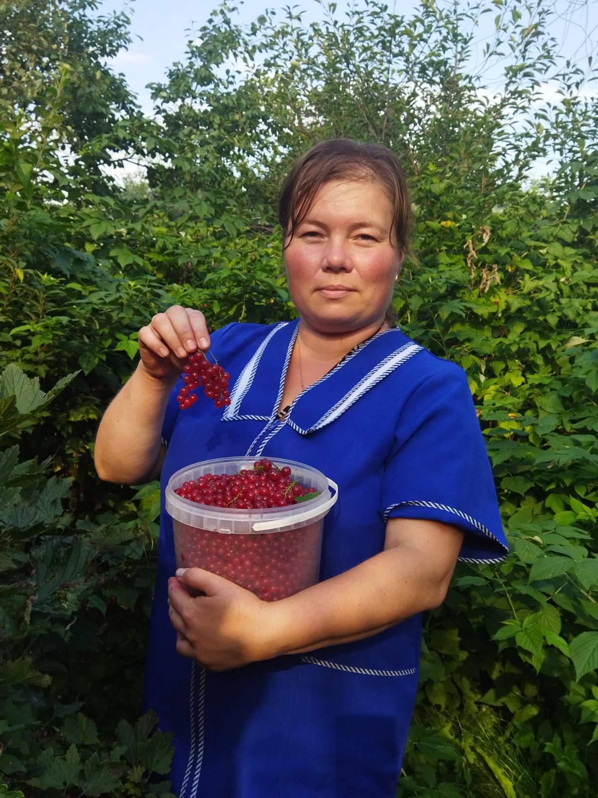 Время собирать урожай